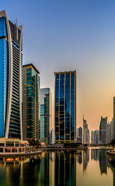 dmcc business setup